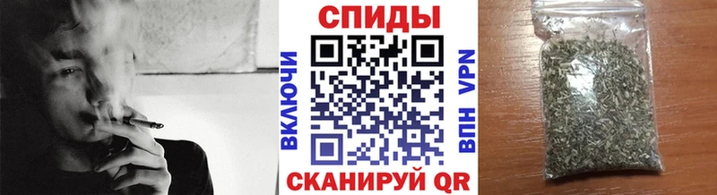 БУТИРАТ BDO 33%  Купить где  Мураши 