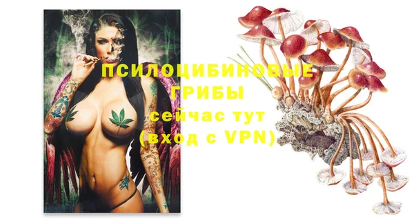 дживик Горнозаводск