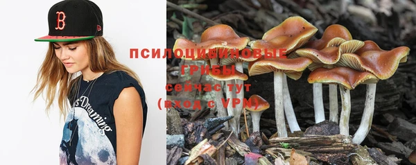 дживик Горнозаводск